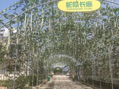 -北戴河集发农业梦想王国