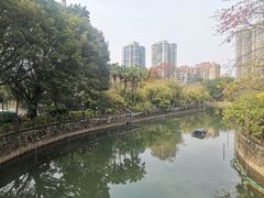 -晓港公园