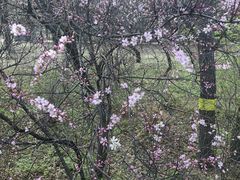 -黑龙江省森林植物园