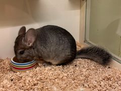 -龙猫仔乐园(惠福东路店)