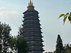 -红梅公园