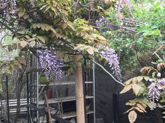 -斯多格书乡(北京大学畅春园店)