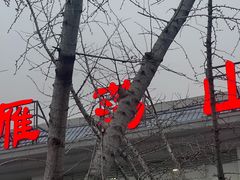 -雁荡山站