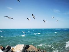 -青海湖二郎剑景区
