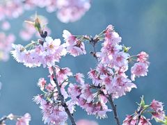-苏州上方山国家森林公园