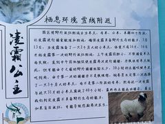 -青藏高原野生动物园