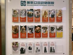 -美联众合动物医院·24h转诊中心