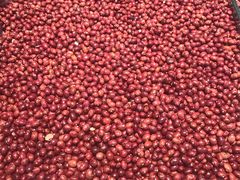 -广百家超市(大东海店)