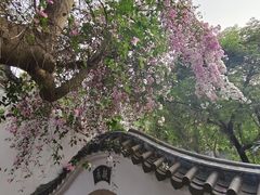 -深圳国际园林花卉博览园