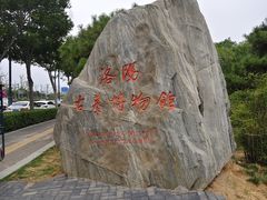 -洛阳古墓博物馆