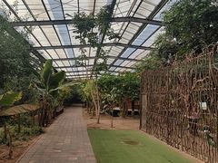 -呀路古热带植物园