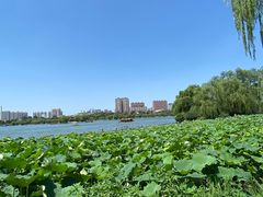 -济南大明湖景区