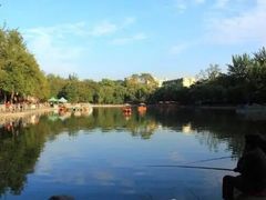 -莲湖公园
