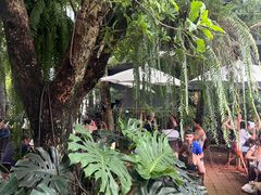 -Fern Forest Cafe