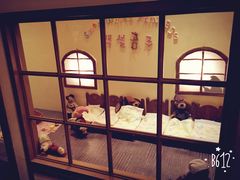 -济州岛泰迪熊博物馆