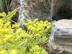-南北湖风景区