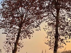 -三圣花乡旅游区