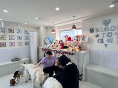 -汪说·狗咖·拼豆·宠物周边DIY(旺城大厦店)