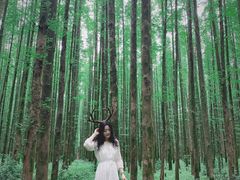 -山王坪喀斯特国家生态公园