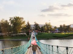 -羊亭河湿地公园