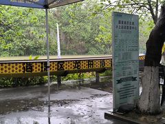 -海珠湖公园