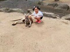 -可伦宾野生动物保护区