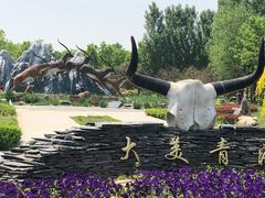 -武清南湖绿博园