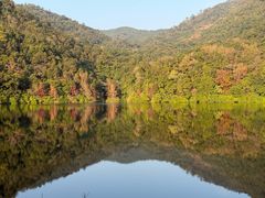 -广州市石门国家森林公园