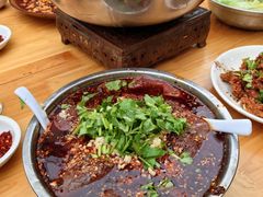 -小杨翘脚牛肉