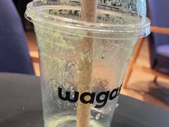 -Wagas沃歌斯(枫蓝国际店)