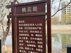 -桃花堤公园