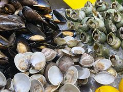 -新发展亚太JW万豪酒店·福苑咖啡厅