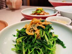 邹山腐皮鸡毛菜-竹外桃花·江南小酒馆(SKP·S店)