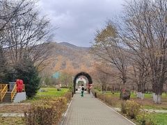 -横道河子东北虎林园