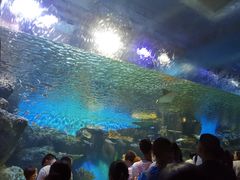 -华夏文旅海洋公园