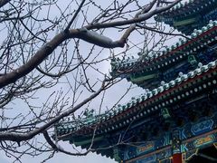 -故宫博物院(故宫)