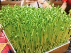 -蜀大侠火锅(四川北路店)