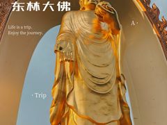 -东林大佛