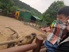 -无锡动物园·太湖欢乐园