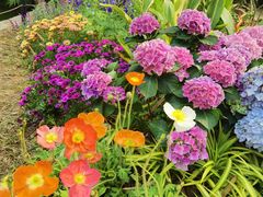 -人民公园(罗湖区)