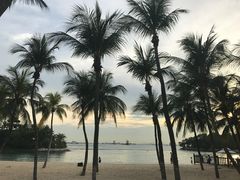 -巴拉湾海滩