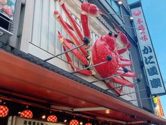 -蟹道乐(道顿堀本店)
