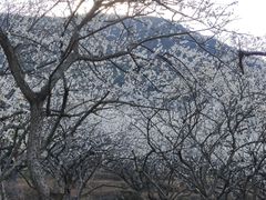 -广州市流溪河国家森林公园