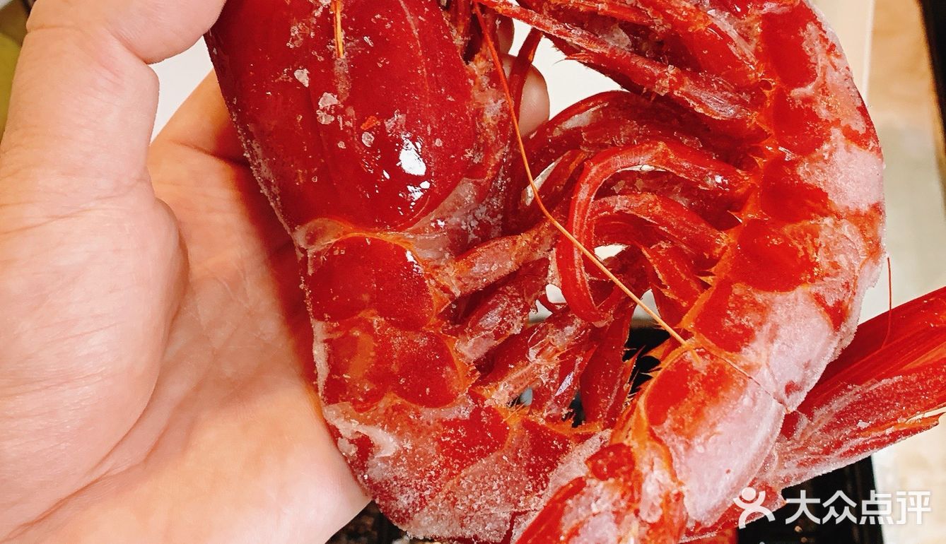 打卡网上风很大的红魔虾🦐