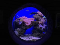-杭州长乔极地海洋公园