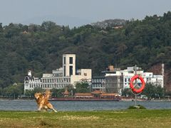 -洱海月湿地公园