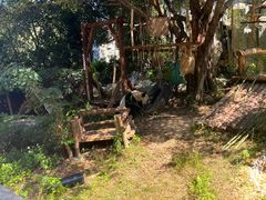 -泉州海丝野生动物世界