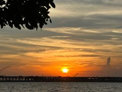 -宝安西湾红树林湿地公园