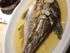 -虎虎龙虾大排档(双井店)