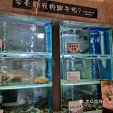 简直是爱了。服务员服务周到细致，赞！